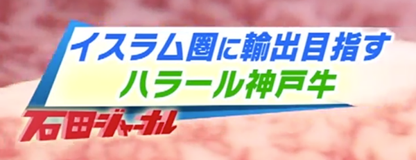 MBS「ちちんぷいぷい」にてハラール神戸牛が紹介されました。